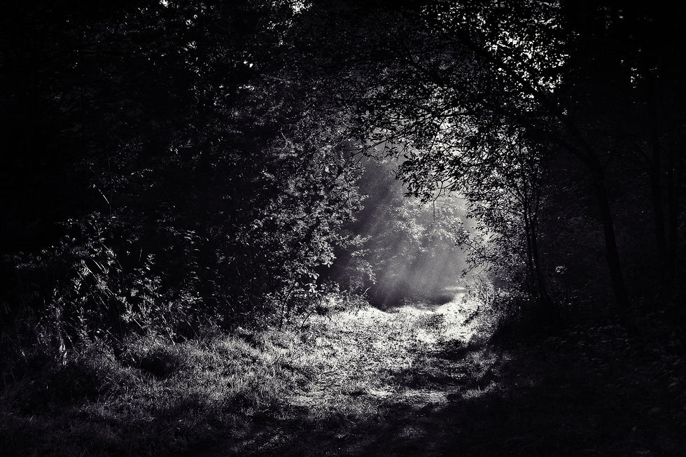 Black Forest