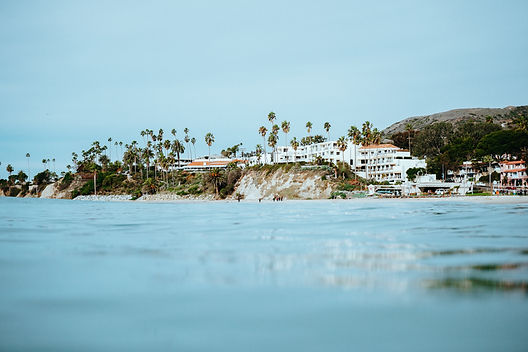 Image by Shane Stagner