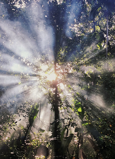 Image by Omkar Jadhav