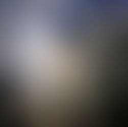 The Evolution of Servant Leadership: Successes and Failures