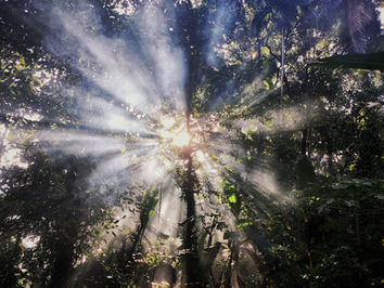Image by Omkar Jadhav