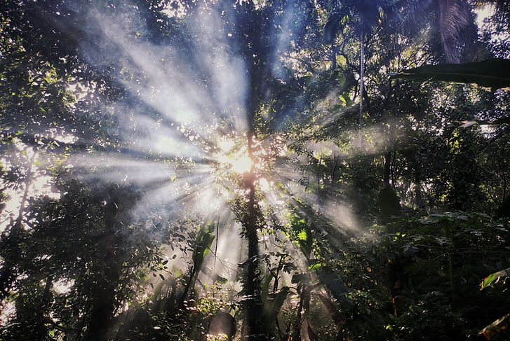 Image by Omkar Jadhav