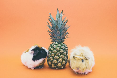 Image by Pineapple Supply Co.