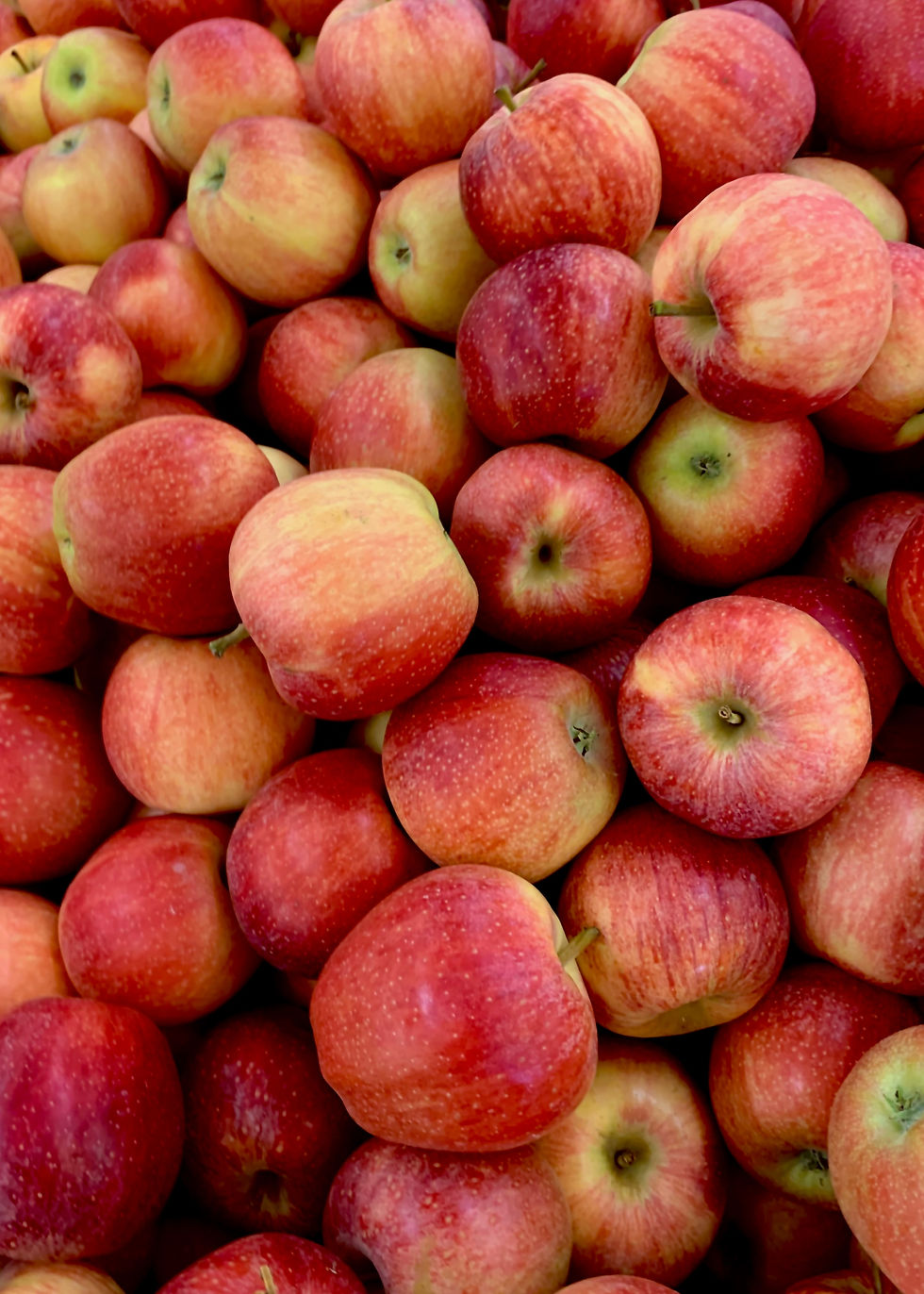 All About Apples Weekend