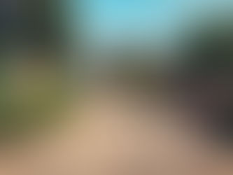 The Continuation of the Political Dynasty: Philippine Chapter