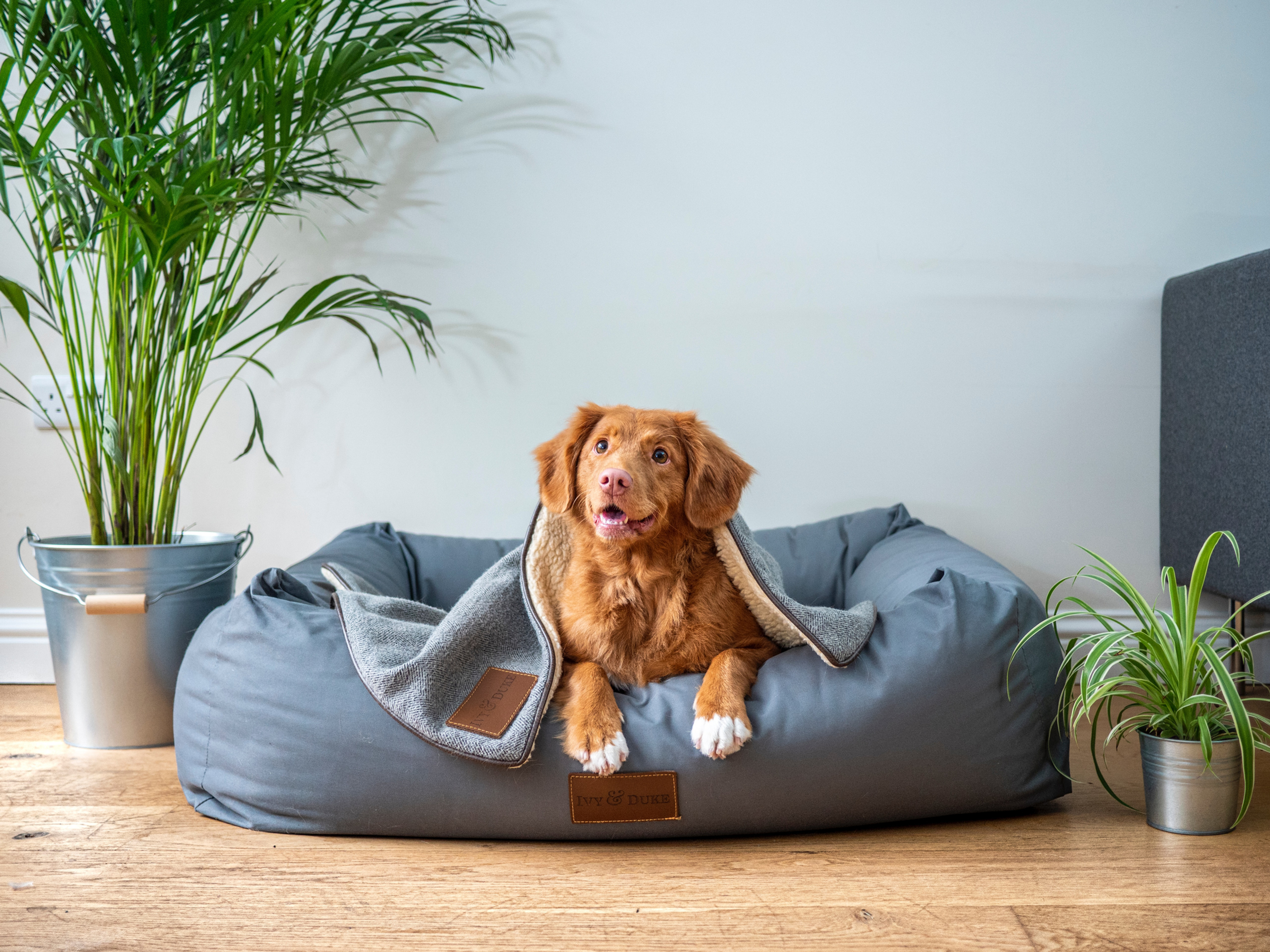 21 Day Remote Animal Sending Package