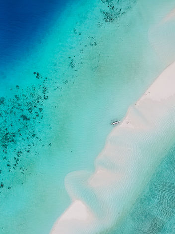 Mangrove, Sand Bar + Beach