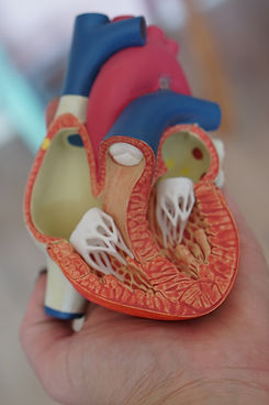 Image by Robina Weermeijer