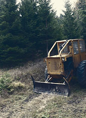 Image by Marek Novotný