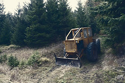 Image by Marek Novotný