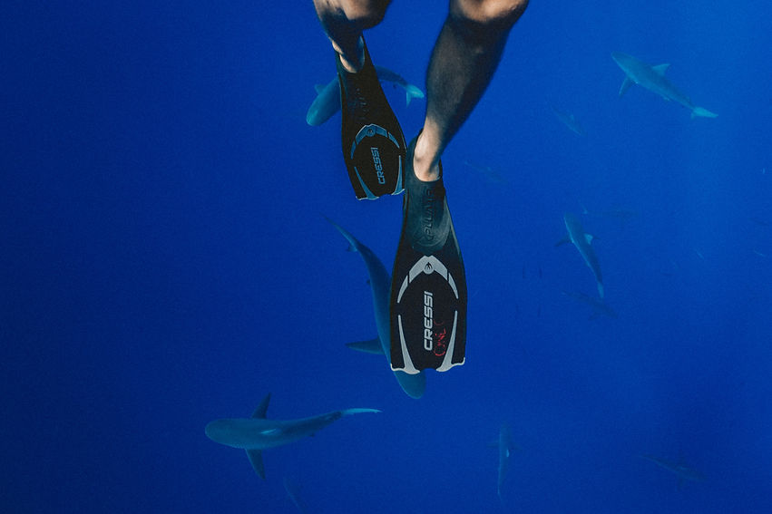 Image by Jakob Owens