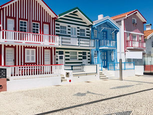 Golden Visa vs Digital Nomad D8 Visa Portugal 2025