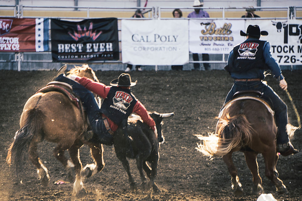 steer wrestling at a rodeo Image by Jordan Heinrichs