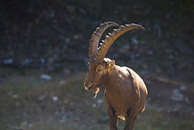 Image by Annette Keys