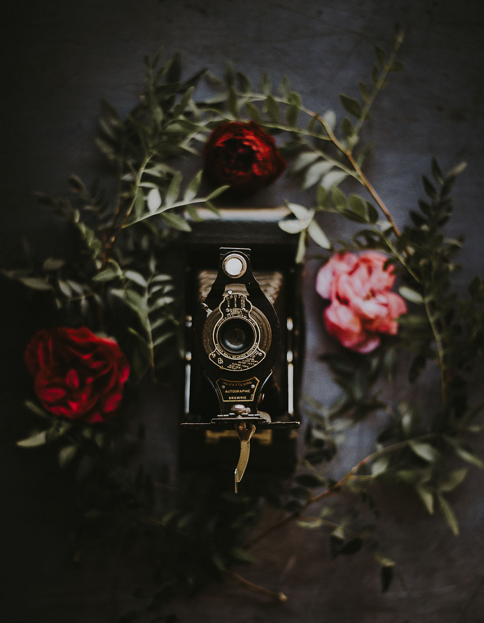 Image by Annie Spratt