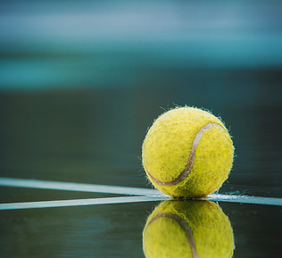 Image de Todd Trapani