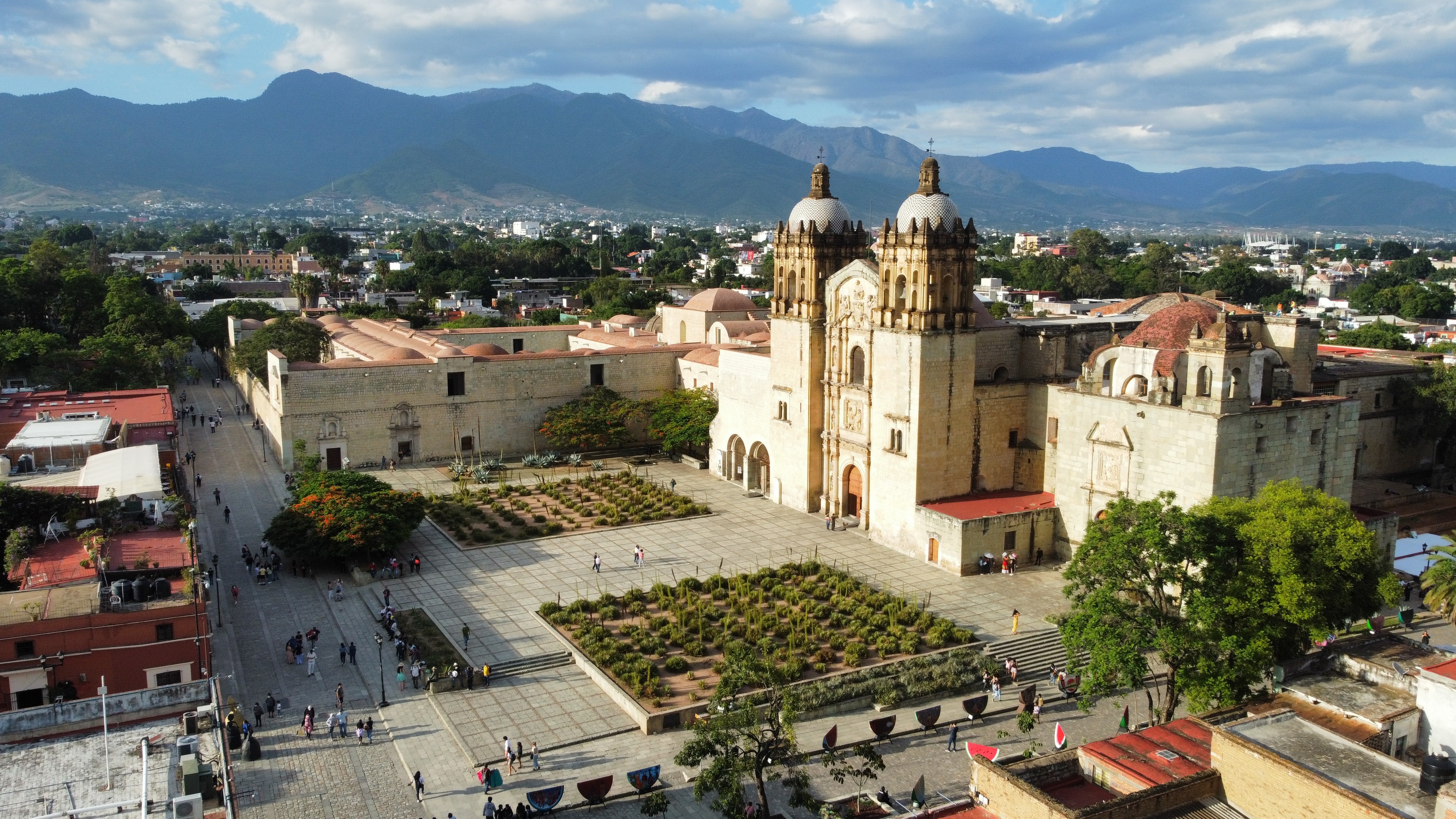 Legado cultural de los hongos en Oaxaca inspira exposiciones binacionales con Estados Unidos en octubre 2025
