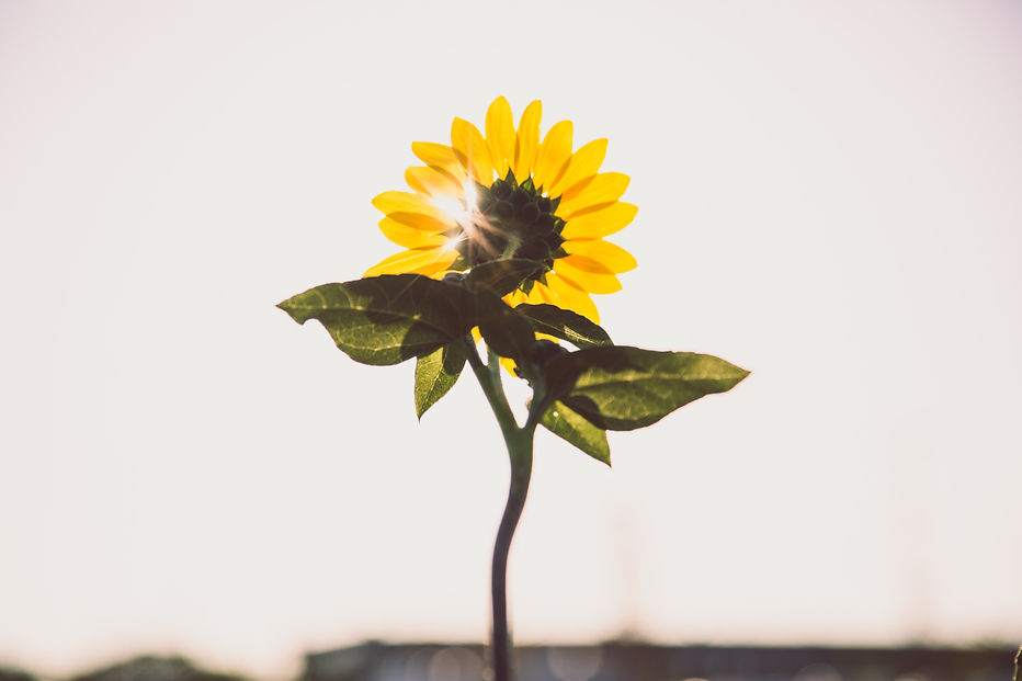 Image by Conner Baker