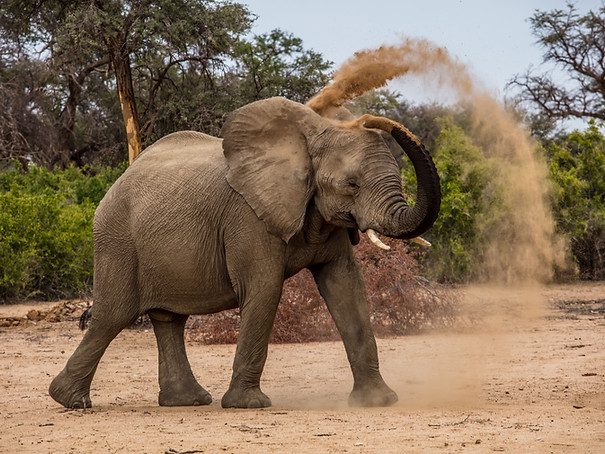 namibie à la belle étoile
