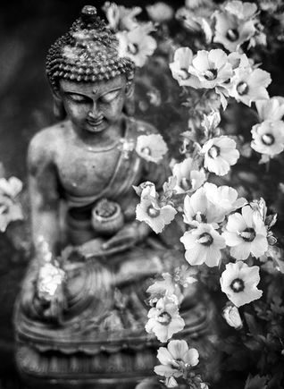 Buddha Purnima Quotes | "The mind is everything. What you think, you become."