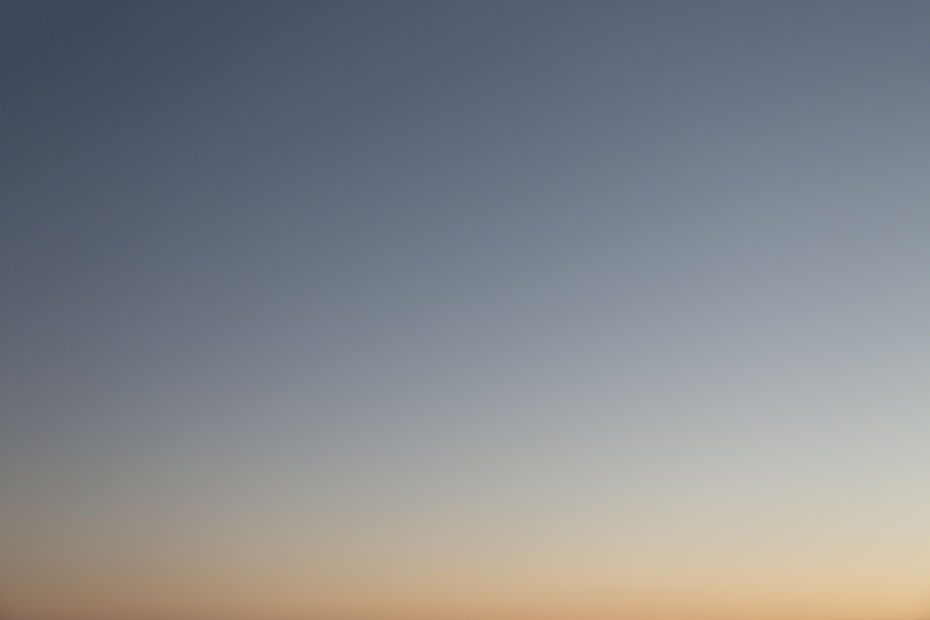 Image by César Couto