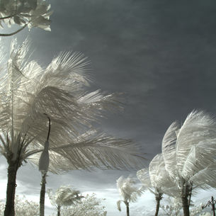 Facts + Statistics: Hurricanes