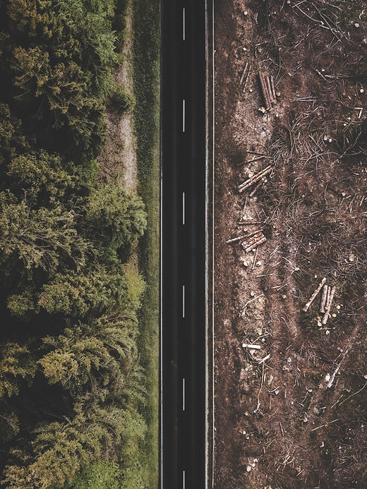 Image by Justus Menke