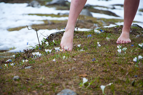 Bare feet walking on grassy terrain with white and blue flowers. Snow-covered patches in the background suggest early spring.