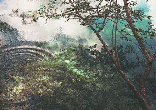 Image de Cristina Gottardi