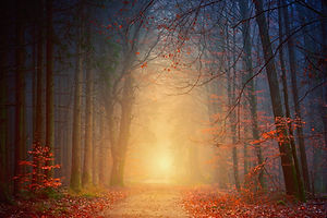 Image by Johannes Plenio