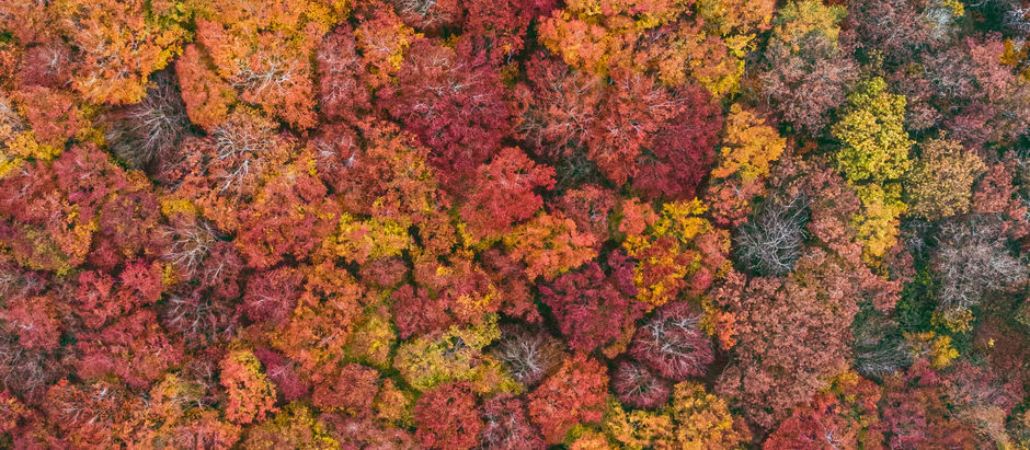 Encuentros y despedidas