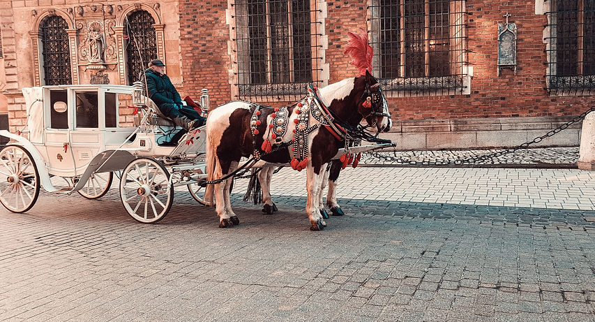 Cracovia e il Sud della Polonia