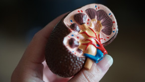 ISCHEMIA CKD: Devo revascularizar renais crônicos com isquemia moderada a importante? - ACC 2020