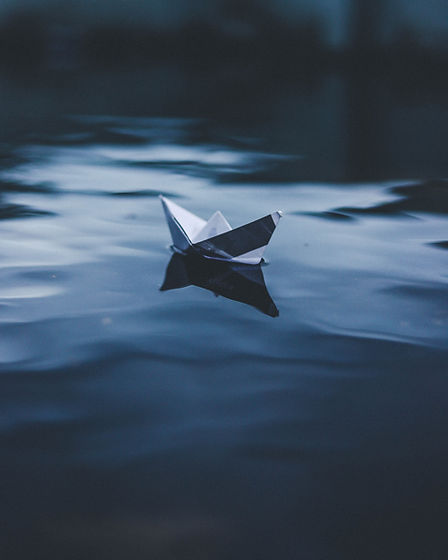 Image by Ahmed Zayan