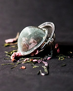 Image by Marisa Harris