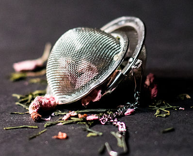 Image by Marisa Harris
