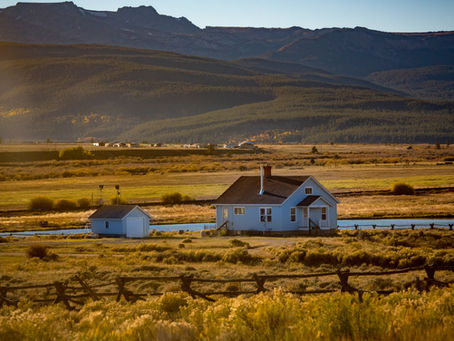 What is a Homestead Exemption?