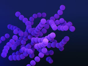 The Potential of Probiotics and How They Can Improve Your Gut Health