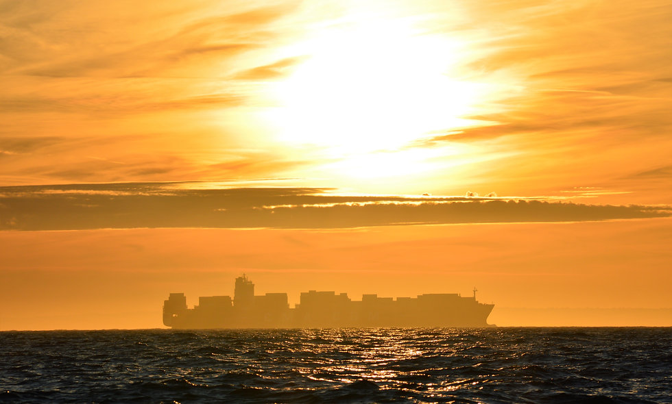 Image by Roger Hoyles