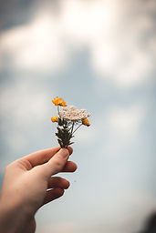 Image by Isaac Mehegan