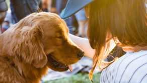 Dog Walking Tips for Pet Parents in Tulsa