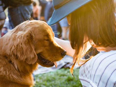 Practicing Mindfulness and Teaching Your Dog to Pay Attention by Dorice Stancher, MBA, CPDT-KA