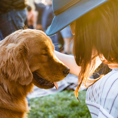 Practicing Mindfulness and Teaching Your Dog to Pay Attention by Dorice Stancher, MBA, CPDT-KA