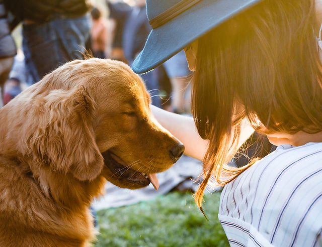 Resources Crescenta Foothills LA Purrs Grrrs Dog Walking