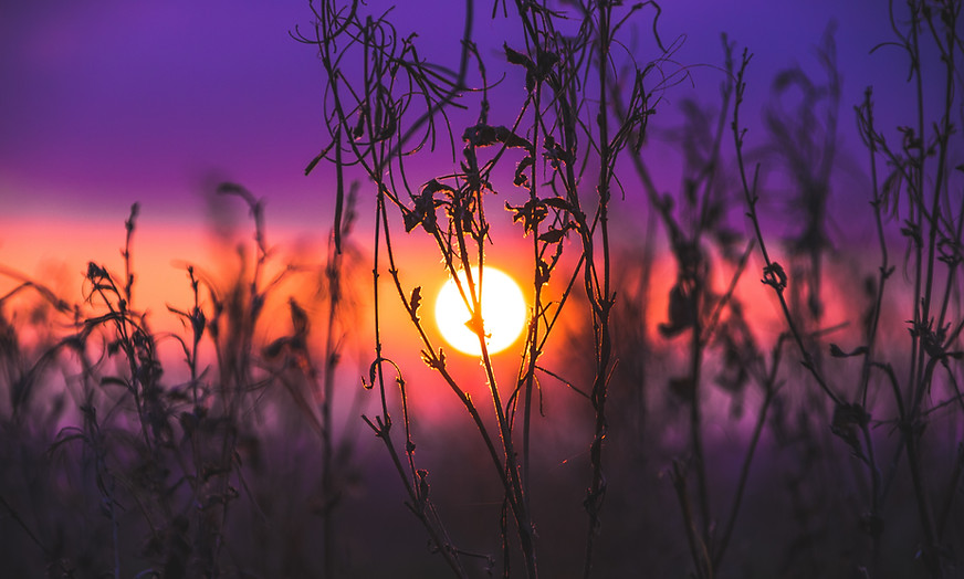 Image by Jack B