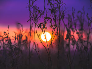 Be Encouraged, Walk In Your Authentic Confidence...Build It UP!