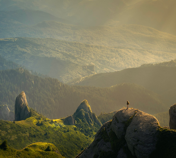 Image by David Marcu