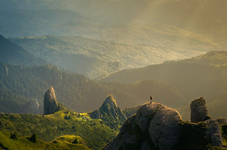 Image by David Marcu