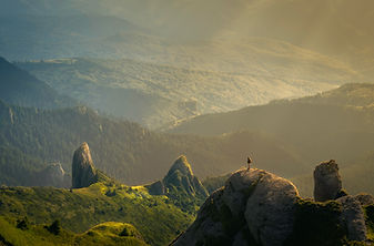 Image by David Marcu