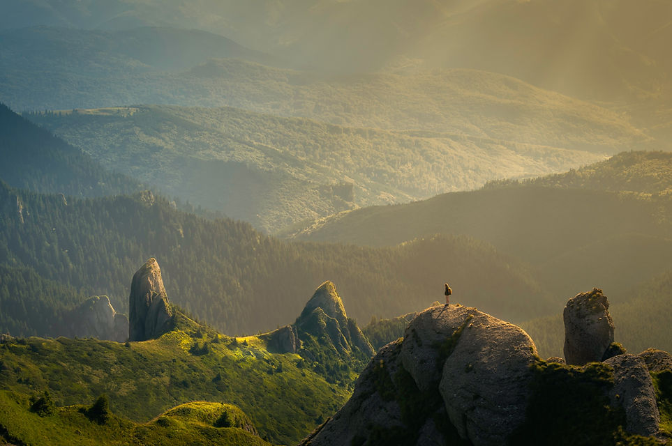Image by David Marcu